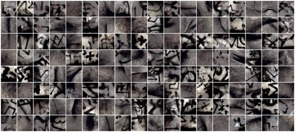 (1510-1600-144), Humans and their environment, 2025