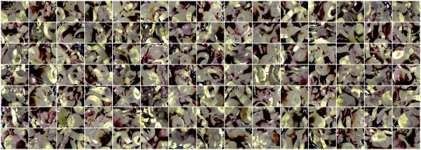 (1477-1180-105), Apple Compote, 2026