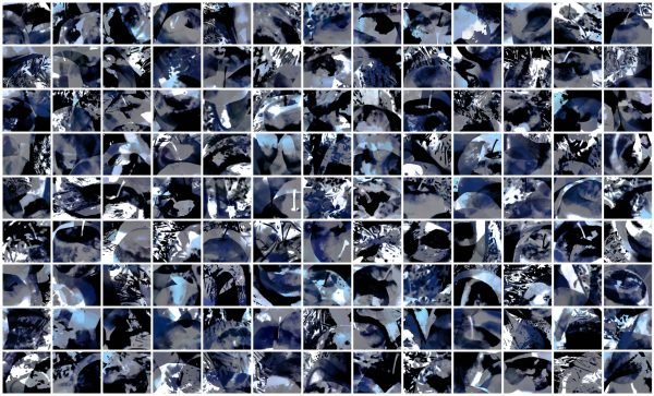 (1477-1300-117), Blue Delicious, 2026