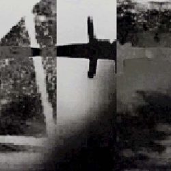 1455-1167_copy