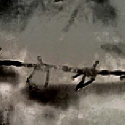 1455-1206_copy